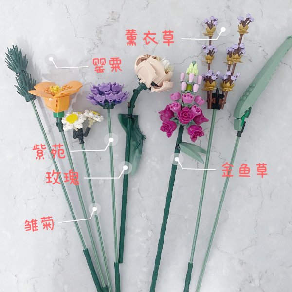 晒货图片