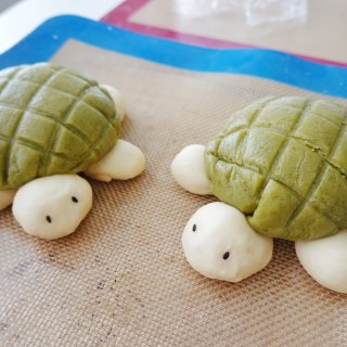 要你永远是我的乌龟🐢菠萝🍍面包🍞...