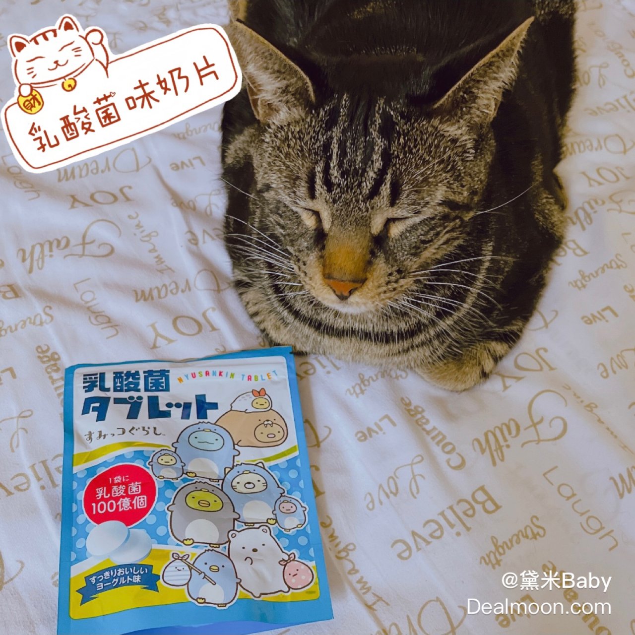 🍼日本零食～乳酸菌味的酸奶片...