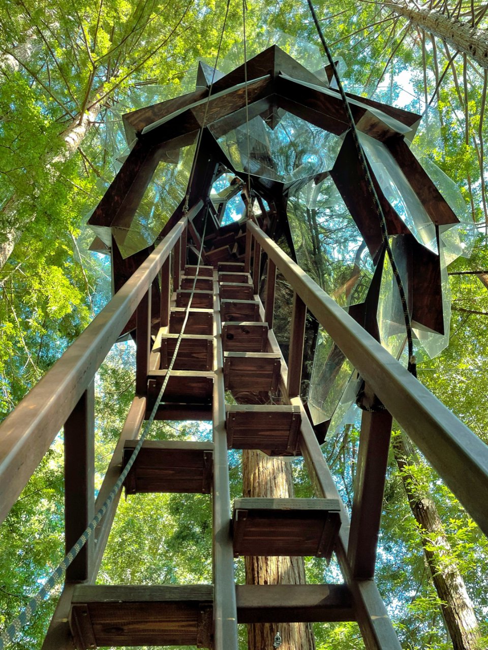超级梦幻是加州童话树屋｜住进一颗大松果！ | 社区旅行精选