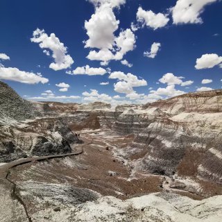 Petrified Forest Nat...
