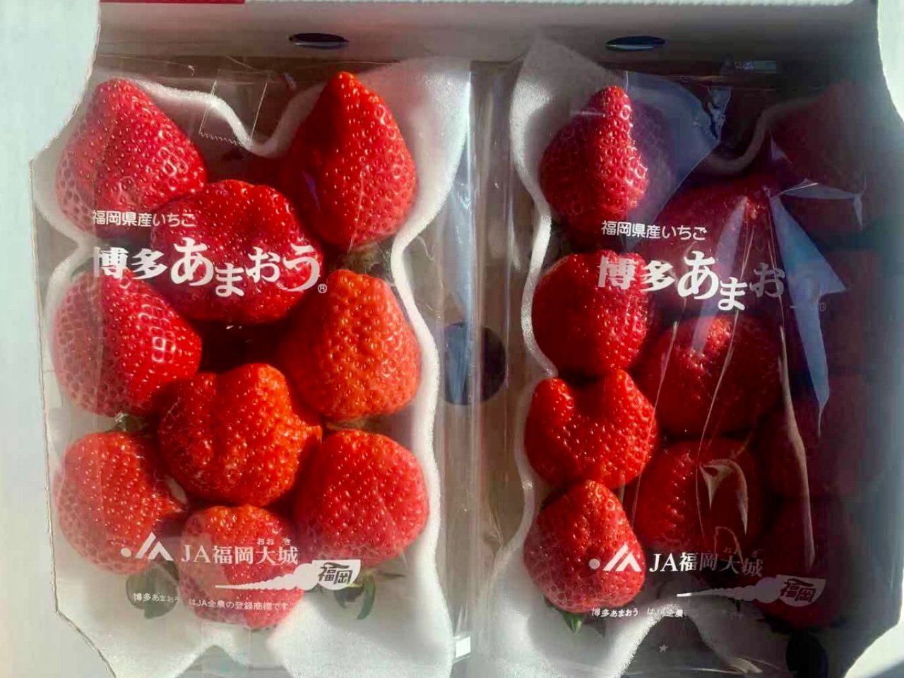 日本奶油草莓🍓