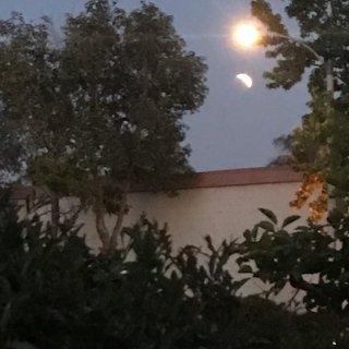 家门口看月亮，可惜有盏路灯...