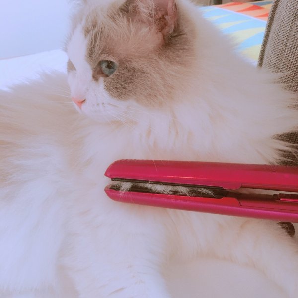 晒货图片