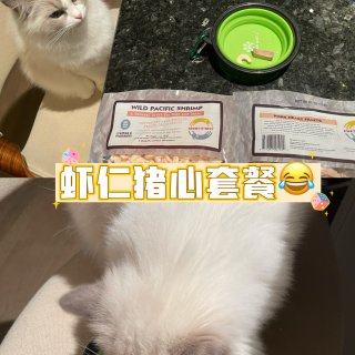 猫咪口粮FIB冻干（虾仁猪心😂）...