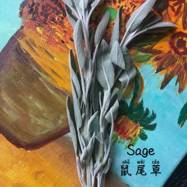 晒货图片