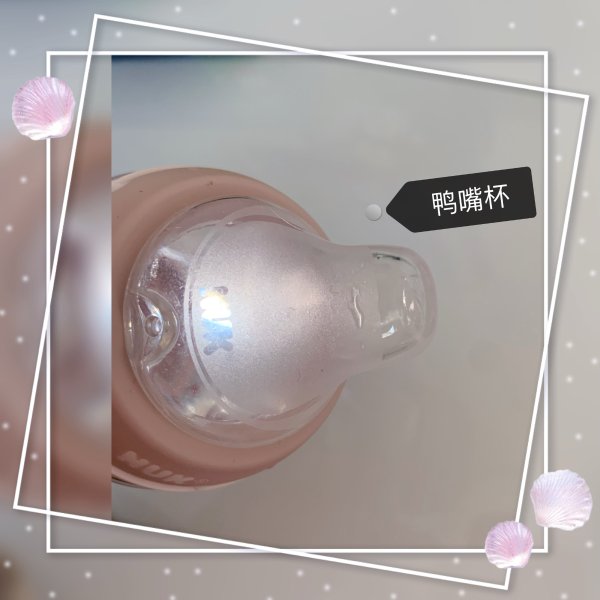 笔记图片