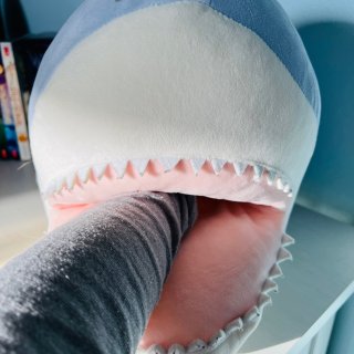 DAISO 会咬手手👋的大鲨鱼🐬...