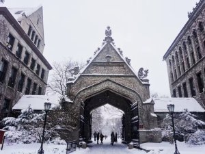 【金币1.6】雪景中的芝加哥哥特建筑就像童话故事里的城堡