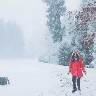 雪景和红色超搭 ❄️ 初雪快乐 ...