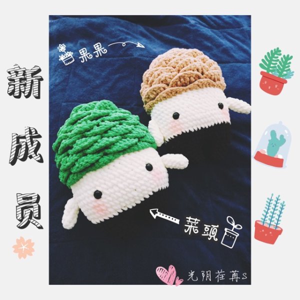 晒货图片