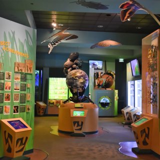 休斯顿自然科学博物馆:带娃一起探索历史吧...