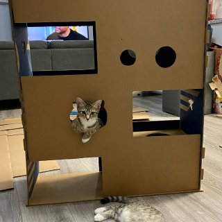 自制猫猫城堡