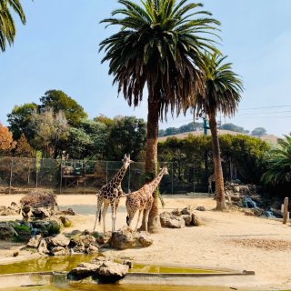 10. Oakland Zoo