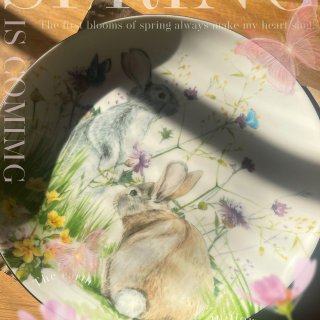 生日快樂🎁復活節限定兔子餐盤🐰...