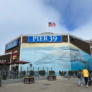 旧金山景点Pier 39...