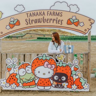 摘草莓🍓之Tanaka Farm拔草除雷...