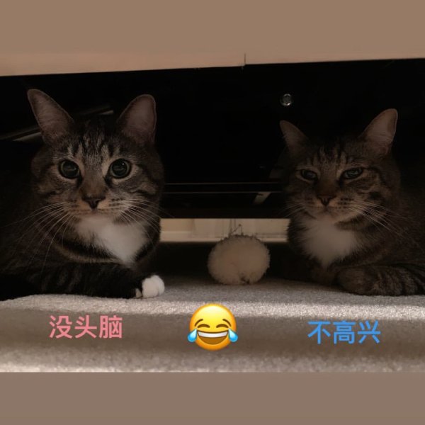 晒货图片