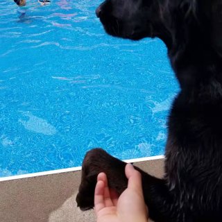 今年夏天.带儿子学游泳有感....