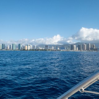 夏威夷Day3玩乐｜坐游艇浮潜🤿 看鱼和...