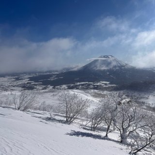 日本滑雪粉雪天堂🏂北海道+妙高攻略...