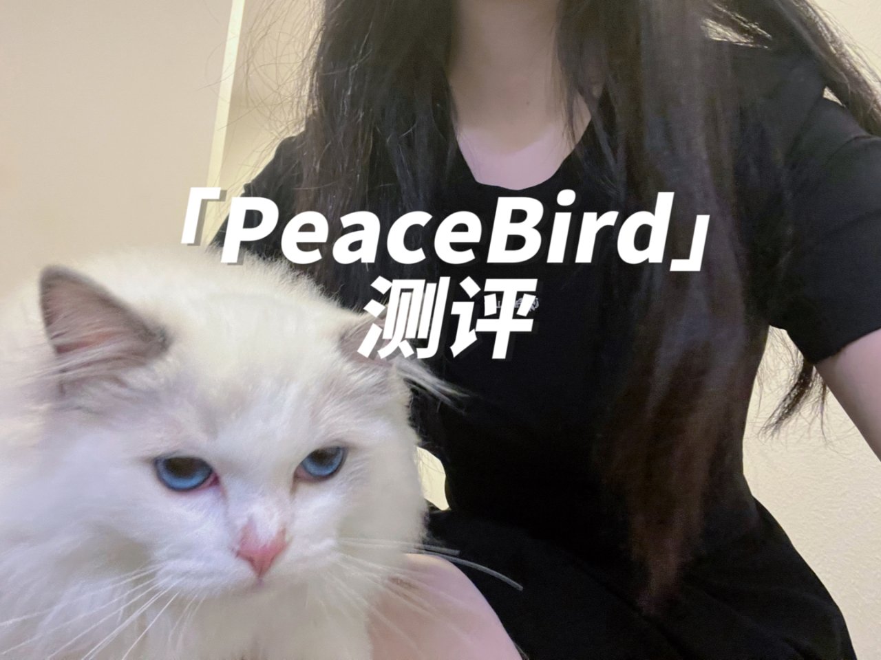 PeaceBird太平鸟｜夏日不能没有这...