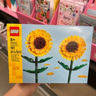 Aldi Finds ｜ 花花Lego...