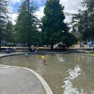 西雅图｜玩水+免费午餐💦附所有水公园时间...