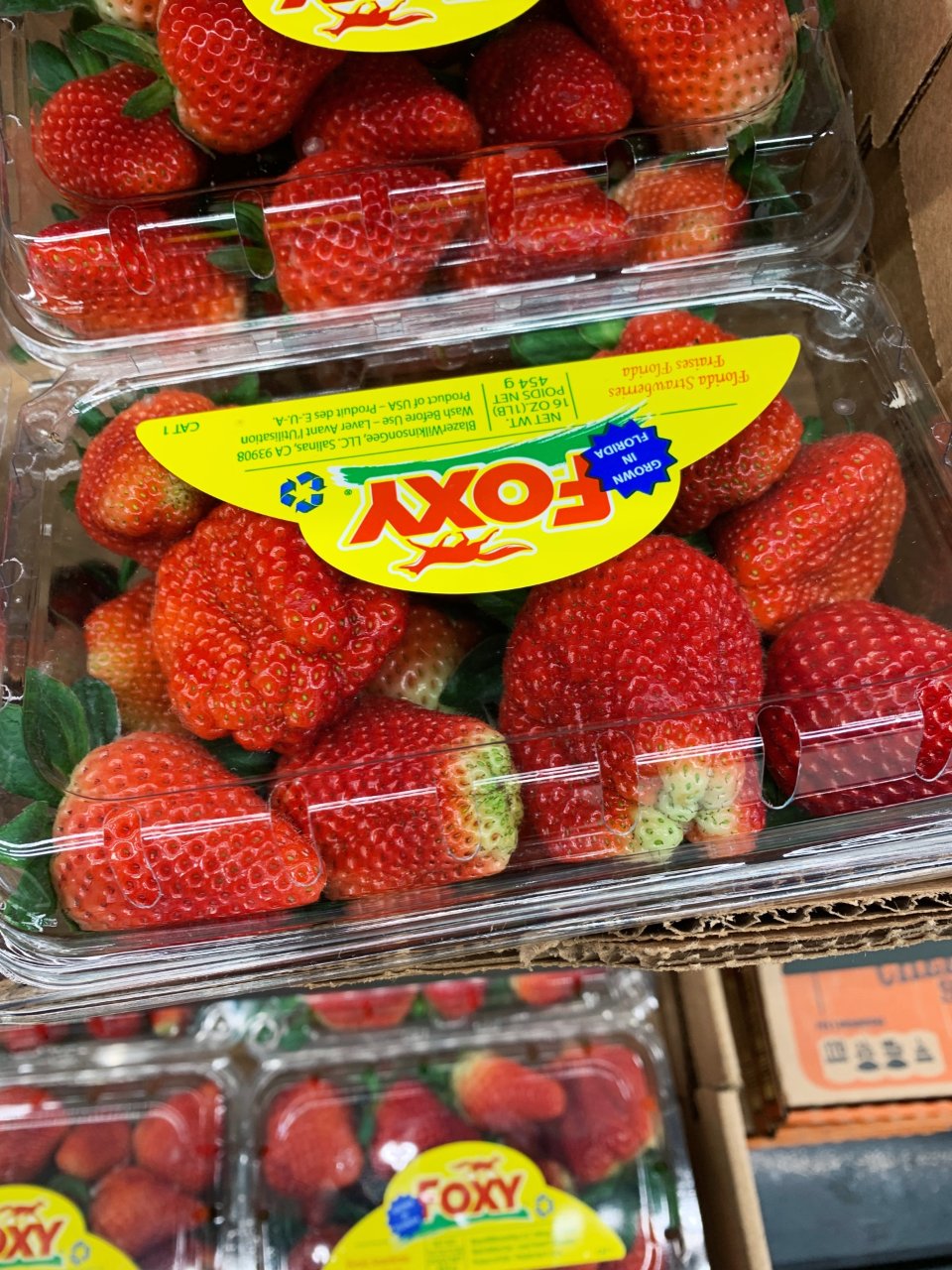 📣Aldi无敌新鲜草莓🍓💰$1.99...