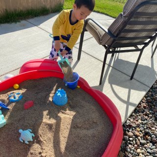 在后院玩sandbox！...