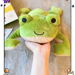 KiwiCo的小青蛙🐸既是拍照神器 也可...