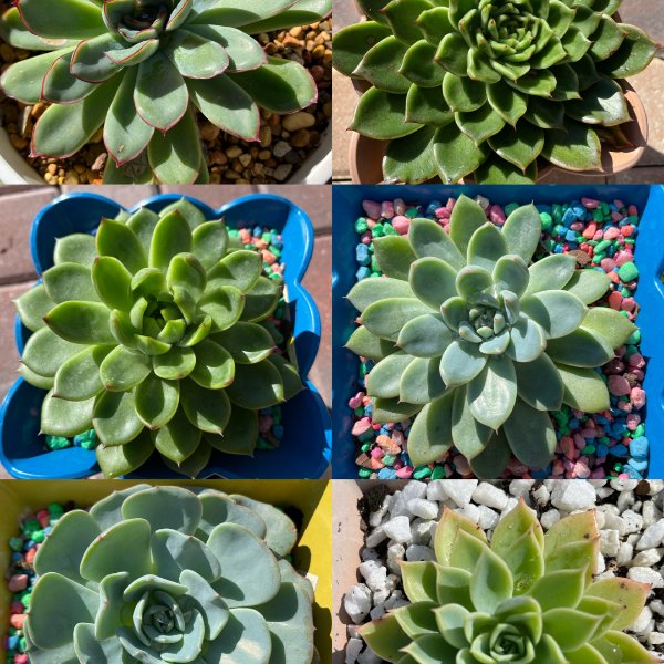 笔记图片