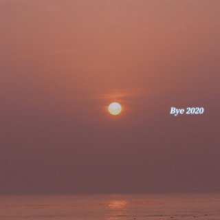Bye2020| 20年最后一条晒货...