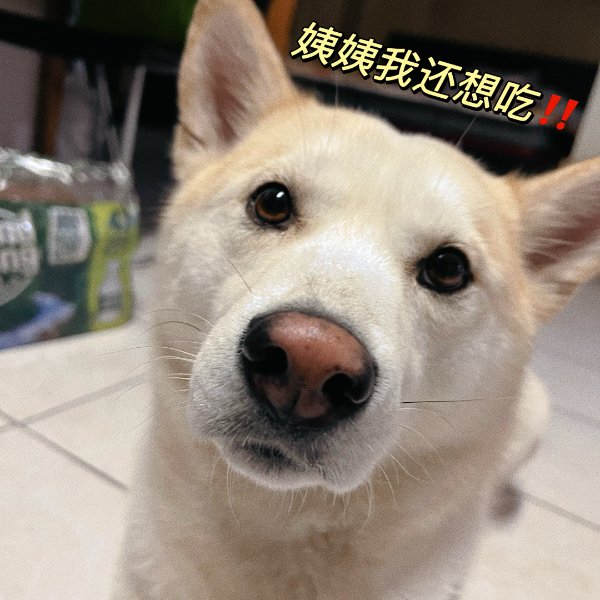 晒货图片
