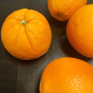 健康饮食｜橙子🍊...