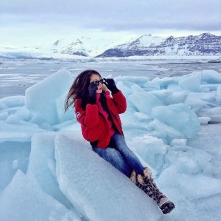 iceland,Canada Goose 加拿大鹅