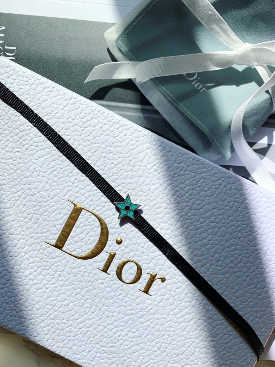 Dior Choker⭐️