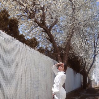 到处都是春天的气息🌸搭配我的小白裙｜绝了...