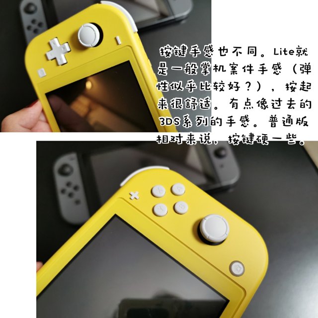 Nintendo Switch Lite 游戏机 动物森友会游戏套装 254入手两三天就能到货 德国打折网