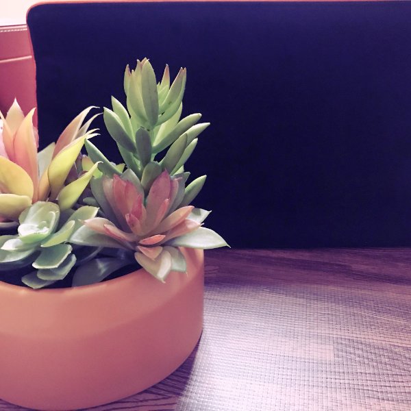 晒货图片