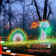 Olin Park Fantasy In Lights