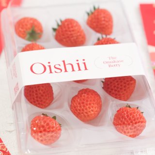 吃过最贵的草莓｜Oishii草莓🍓...