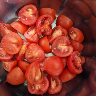 plant profiling 西红柿...