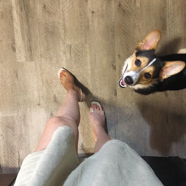 晒货图片