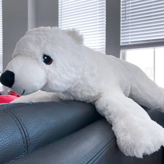 Ikea北极熊🐻‍❄️...