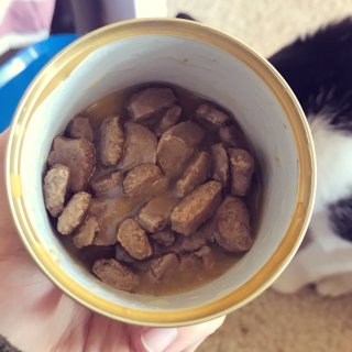 🐱猫罐头测评🐱Nutro Max鸡肉碎汤...