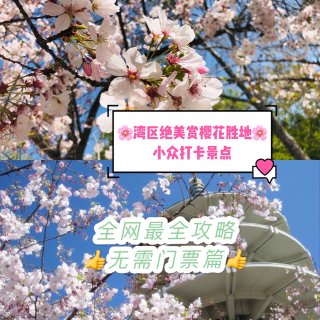 樱花季🌸｜全网最全赏樱花胜地（无门票篇）...