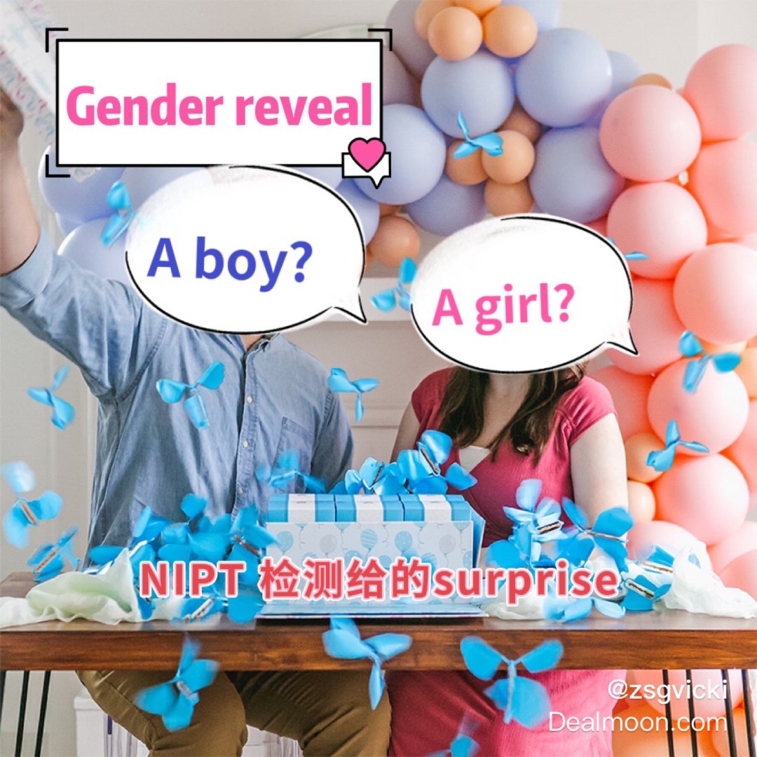 Gender reveal｜boy or...