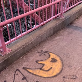 纽约小众打卡地/ 绝美粉红桥 拍照推荐...