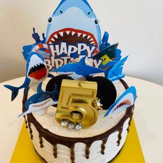 Shark Cake 生日蛋糕装饰DIY...